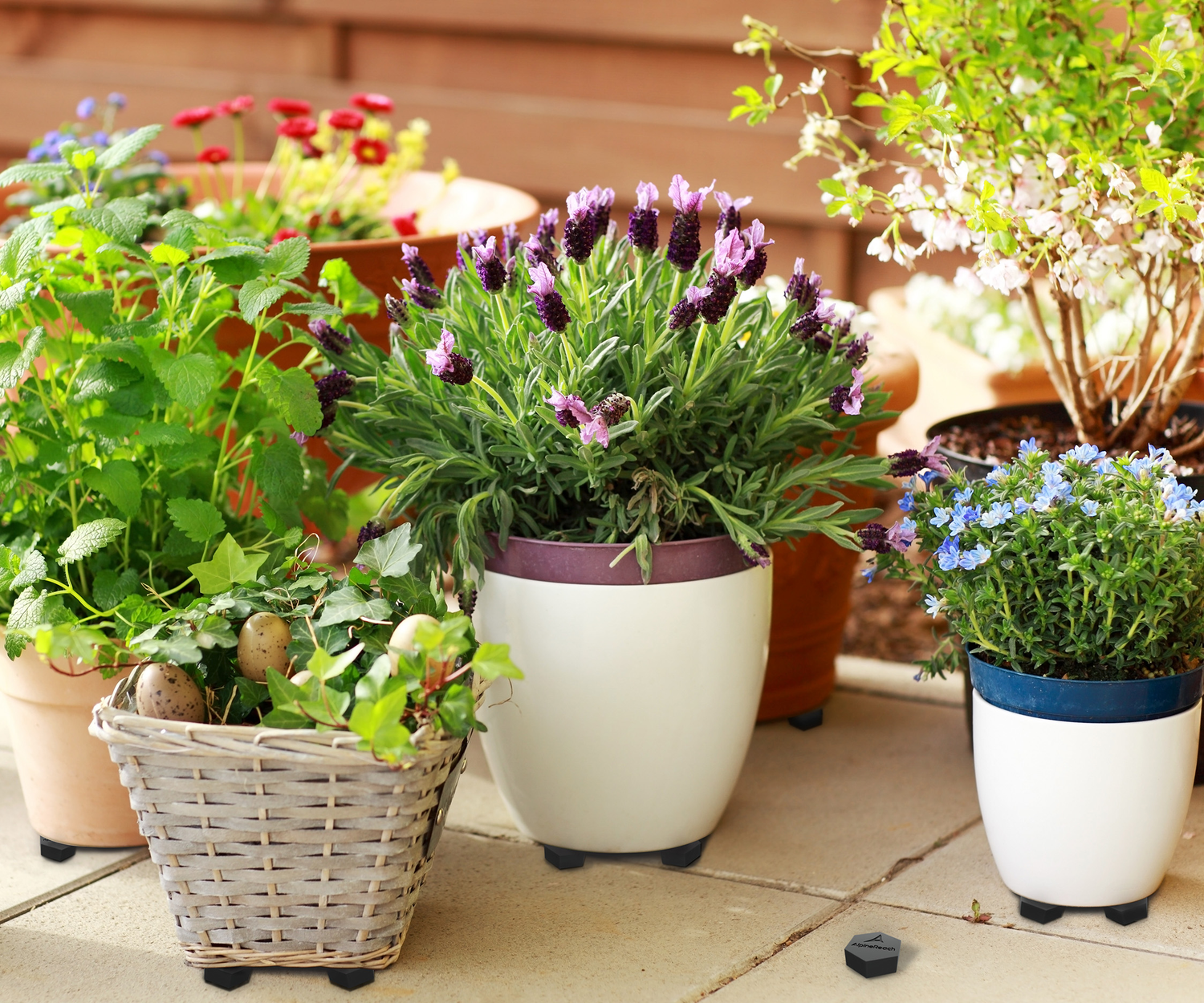 Pot Feet Risers