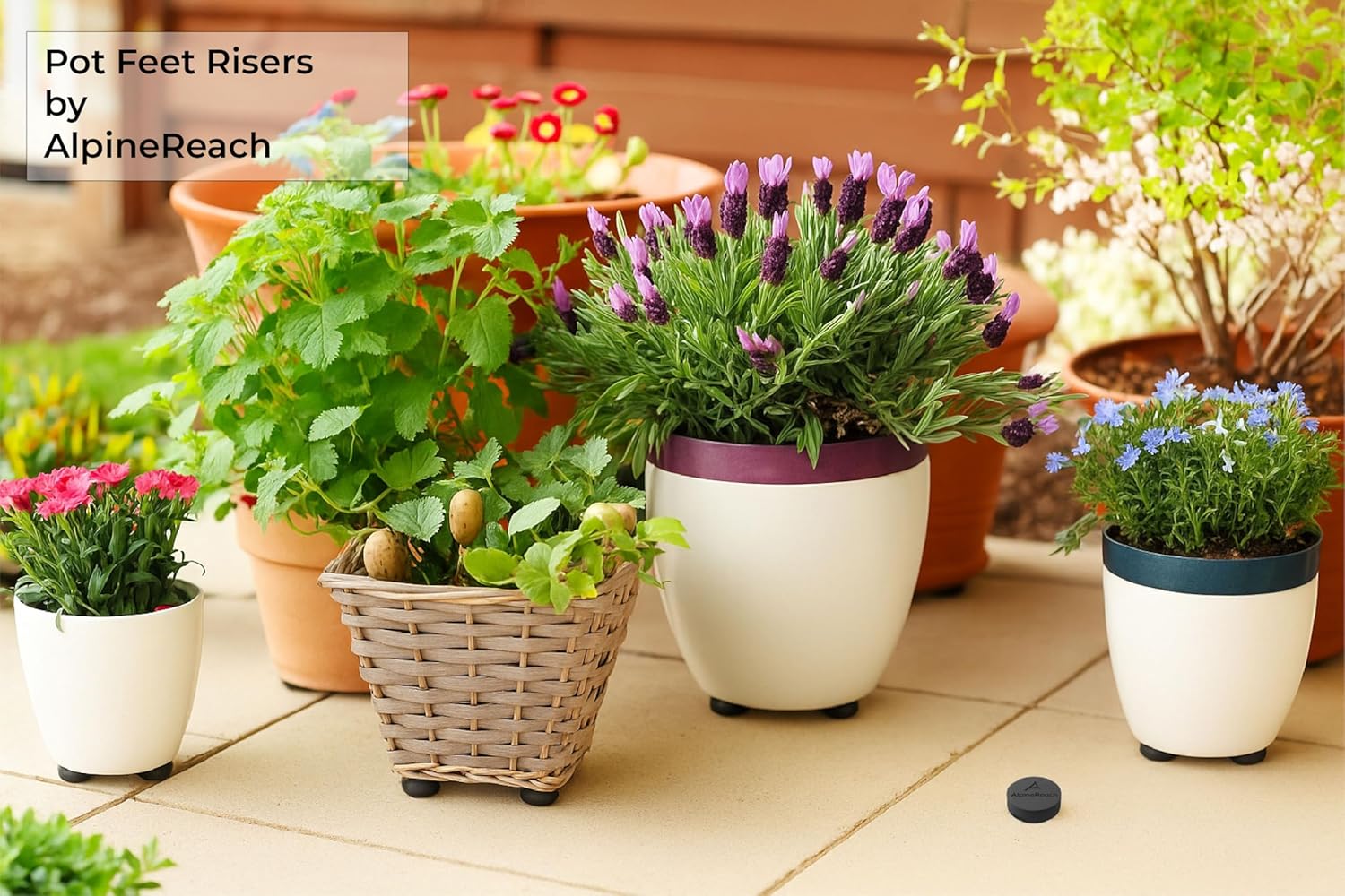 outdoor plant pot risers AlpineReach 20 Pack Pot Feet Risers & Adhesive Pads