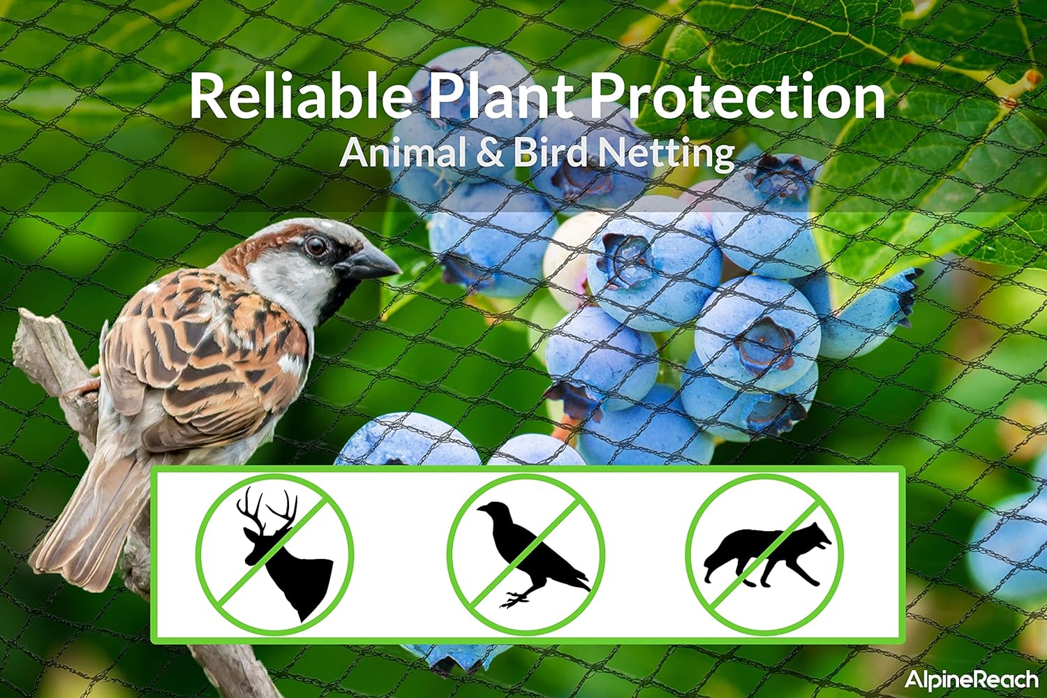 Garden Netting Bird Netting Pond Netting Fast & Free Shipping