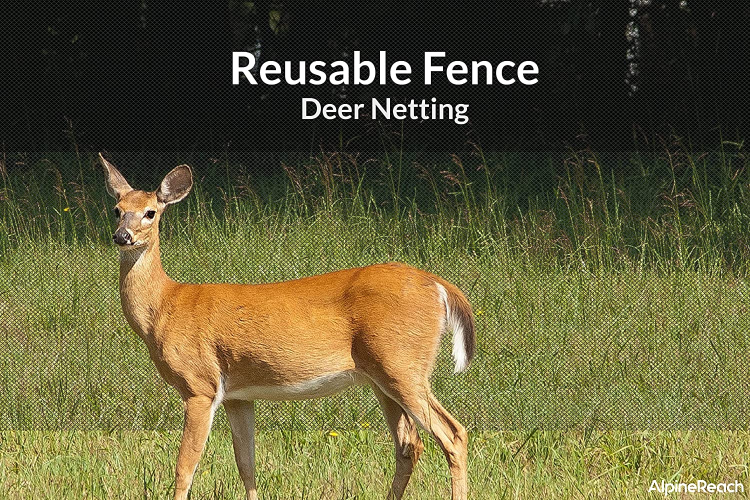 AlpineReach Garden Bird Netting Kit 7.5 x 65 Feet Black